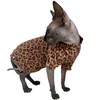 Limited Edition Sphynx Cat Cotton T-Shirts Hairless Cat Sweatshirt Pet