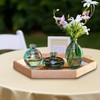 ATDORO 3 Pcs Mini Bud Vases, Clear Bud Vases for