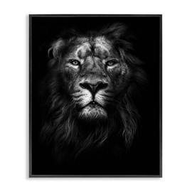 Stupell Industries King of The Jungle Lion in Shadows White Photography Black Framed Wall Art, 11x14, Multicolor