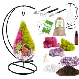Creations by Nathalie 7" DIY Teardrop Terrarium Kit with Live Plants - Hanging Glass Planter with Stand for Adults & Kids - Build a Mini Ecosystem with Moss, Crystals, Tools - Made in The USA