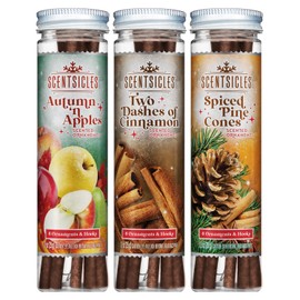 Scentsicles Autumn n Apples, Two Dashes of Cinnamon and Spiced Pine Cones Scented Ornaments Fall Three Pack with Hooks (3 Bottles with 6 Sticks Each)