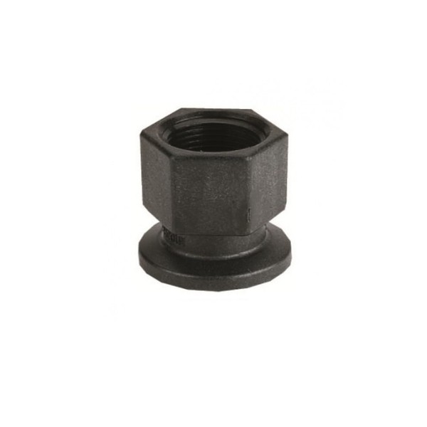 Banjo 2" Standard Port x 2" FPT Flanged Adapter Coupling