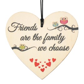 Best Friend Gift Ornaments for Women Girls BFF Friendship Ornament, Bestie Birthday Gifts, Female Friends Themed Party Decorations, Hanging Wall Decor Sign Plaque