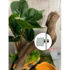 Okueejur 2 PCS Jumping Spider Feeding Dish, Tiny Food Dishes Water Dish for Jumping Spider, Tarantula and Other Small Pets,Transparent