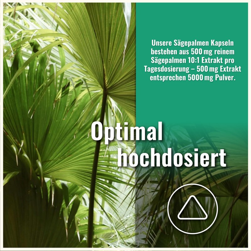 200 Saw Palmetto Capsules High Dose - Saw Palmetto Extract