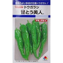 Pretty takii種苗 Sweet Pepper Oleander ape041