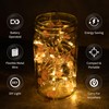 West Ivory 5 feet 20 LED String Fairy Light w/Pink