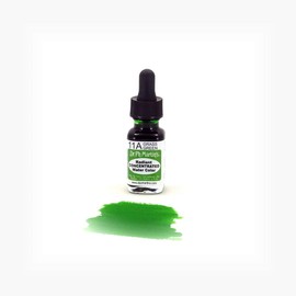 Dr. Ph. Martin's Radiant Concentrated Water Color (11A) Watercolor Bottle, 0.5 oz, Grass Green, 1 Bottle