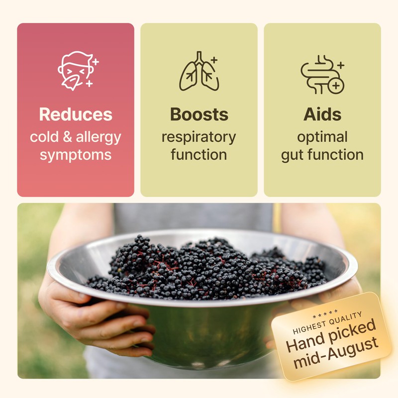Dried Elderberries - 1lb Bulk - Hand-Sorted, Wildcrafted, Natural, Non-GMO,
