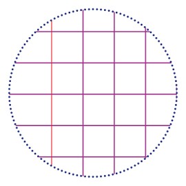 Clairefontaine 971611C Koverbook (DIN A4, 21 x 29.7 cm, Squared, 48 Sheets, 90 g, Opaque), Pack of 1, Assorted Colours