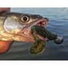 Yum YPL4264 4.5" Pulse Fishing Bait