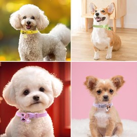 Grey Cat Collar with Bell, Pretty Female Puppy Collars with Bells for XXS Tiny Pet Little Dogs Kitten Girls Animal, XSmall