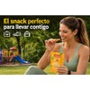 Mango Deshidratado Orgánico I USDA Organic I Sin Azúcar Añadida