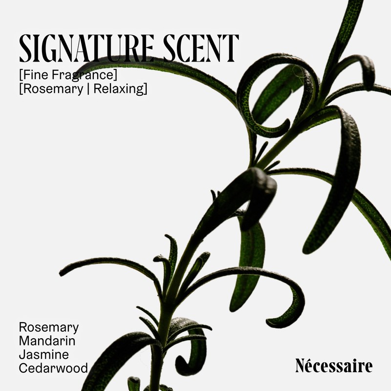 Nécessaire Rosemary Shampoo | Multi-Protien Strengthening Cleanse For Thinning Hair.