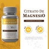 Citrato de Magnesio 500 mg - 60 Cápsulas | Alta