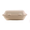 100 Count - Biodegradable 9x6 Take Out Food Containers with