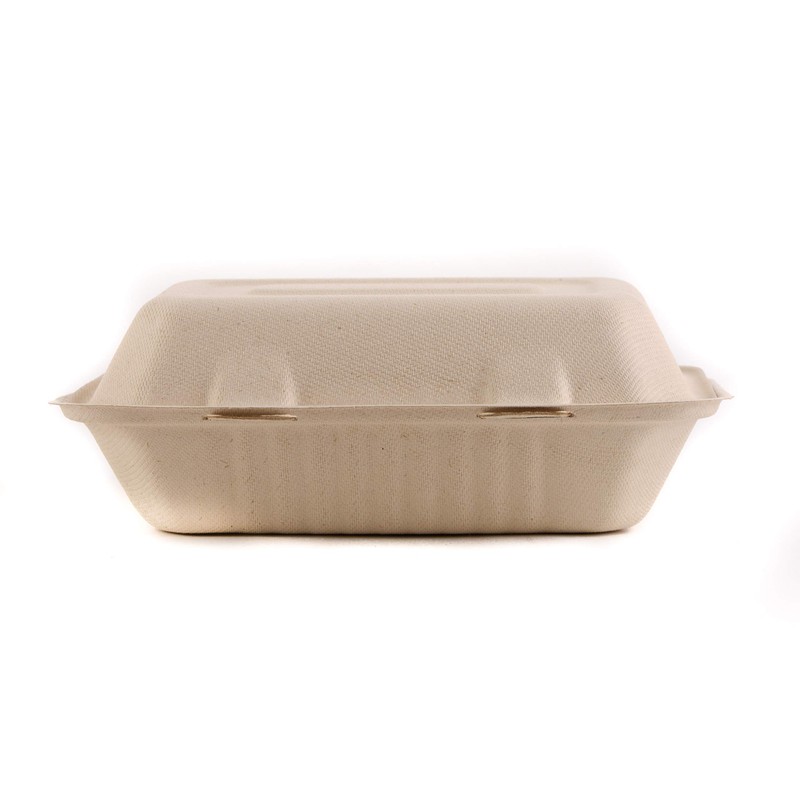 100 Count - Biodegradable 9x6 Take Out Food Containers with