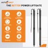 Autoexact Electric Rear Tailgate Power Lift Support Shock strut, Rear