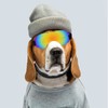 Dog Sunglasses Large Dog Goggles Pet Glasses UV Protection Windproof