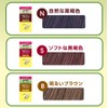 Marron Mind color N is a natural dark brown