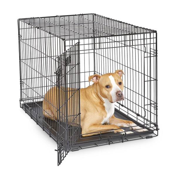 MidWest Homes for Pets Newly Enhanced Single Door iCrate Dog Crate, Includes Leak-Proof Pan, Floor Protecting Feet , Divider Panel & New Patented Features