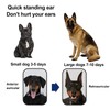 1 Pair Dog Ear Stand Sticker Up Support Tool, Dog