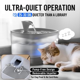 Veken Cat Water Fountain with Detachable Tank, Easy to Clean & Assemble, 84oz/2.5L Automatic Pet Drinking Dispenser with Quiet Operation & LED Light for Cats, Dogs and Small Pets, Grey