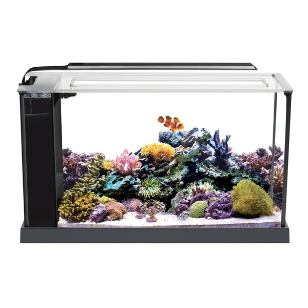 Fluval Sea Evo V Saltwater Fish Tank Aquarium Kit, Black, 5 gal, 10528A1
