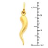 The World Jewelry Center 14k Real Yellow Gold Cornicello Italian