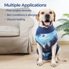 pangdi Recovery Suit for Dogs After Surgery, Spay Suit Female