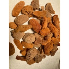 LOS MORALES SOUVENIRS Mini Esponjas Naturales.  Cosmeticos. 50 Pzas #24