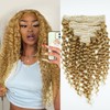 Curly Clip in Hair Extensions Real Human Hair 22inch 120g