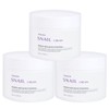 Food Aholic 3-Pack Intensive Snail Cream 100ml / Moisturizing Cream,