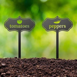 RealSteel - Seed & Plant Markers - Indoor/Outdoor Herb Garden Stakes - Elegant Fruit/Vegetable Seed Labels - Durable Plant Tags for Pots - Classy Design for Farmhouse/Greenhouse (Asparagus)