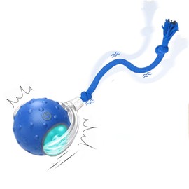 Interactive Cat Toys Ball for Indoor Cats Fast Rolling on Carpet, Motion Activate Electric Cat Toy,Chirping & Motion Activate Cat Toys (Blue)