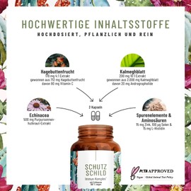 Immune System Complex, 500 mg Echinacea with Vitamin C, Zinc, Selenium L-Histidine and Kalmegh, Vegan, Without Additives, 120 Echinacea Purpurea Capsules for 60 Days