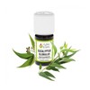 Eucalyptus globulus essential oil (organic)