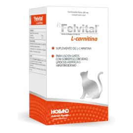 Holland Felvital L-carnitina 80 Ml Gatos Sobrepeso Lipidosis