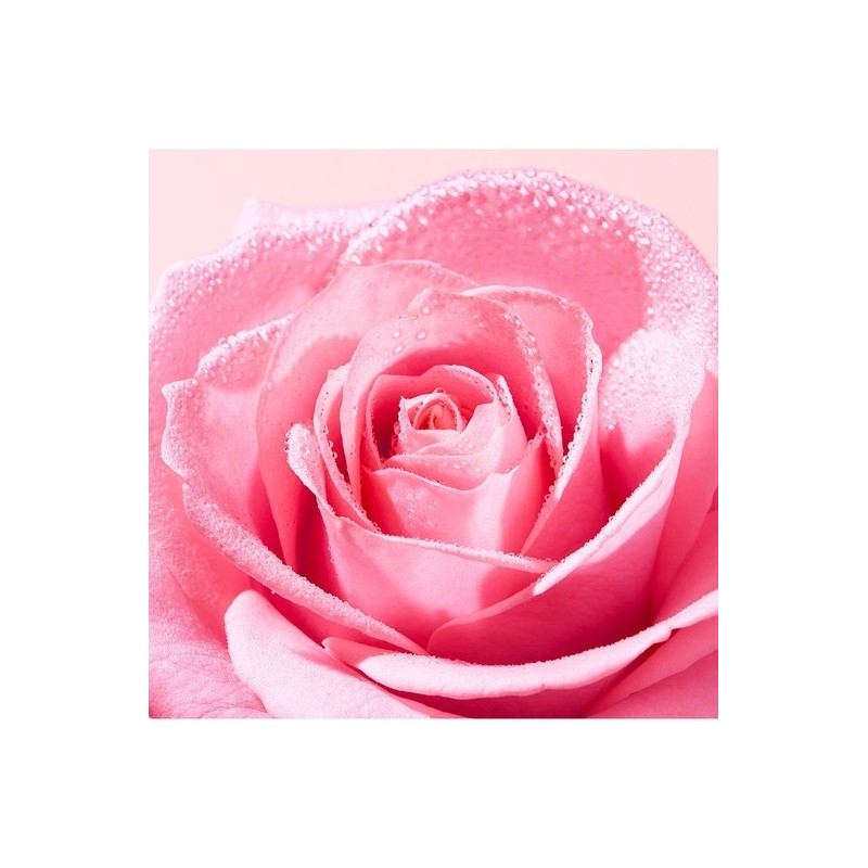 [1+1] Nuxe Berry Rose Melting Cleansing Milk 200ml / [1+1]