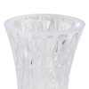 3 in 1 Humidifier Aromatherapy Diffuser with Night Light USB