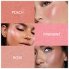 Fixleren Peach Blush, Powder Blush for Individual Modelling of Long