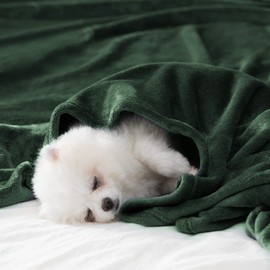 BEAUTEX Fleece Throw Blanket for Couch Sofa or Bed， Throw Size Soft Fuzzy Plush Blanket, Luxury Flannel Lap Blanket, Super Cozy and Comfy for All Seasons (Emerald Green, 50" x 60")