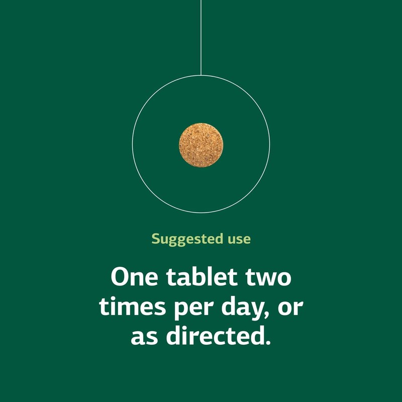 Standard Process Inc. Feline Enteric Support - 90 Tablets