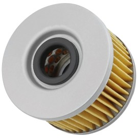 Caltric for Honda 400 TRX400FA TRX400FGA  Rancher 2004 2005 2006 2007 Oil Filter