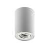 CGC Lighting Modern Ceiling Spotlight Cylinder Surface Mount Adjustable Tilt