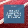 Eyeastin Nutrex Astaxantina Lutena Zeaxantina 60 Caps