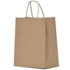 Qutuus Qutuus 10x5x13 Kraft Paper Bags 100 Pcs Kraft Shopping