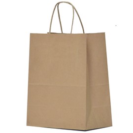 Qutuus Qutuus 10x5x13 Kraft Paper Bags 100 Pcs Kraft Shopping Bags, Gift Bags, Retail Bags, Recycled Bulk, Brown Paper Bags with Handles Bulk