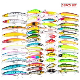 CHSEEO Fishing Lure Kits 53pcs Fishing Lure Set Fishing Baits Kit With Fishing Tackle Box Including Wobblers Swimbaits Crankbaits Spinnerbaits Artificial Lures for Freshwater Saltwater Fishing #5