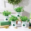 St Patricks Day Decorations-4pcs St.Patrick's Day Mini Jars with Artificial